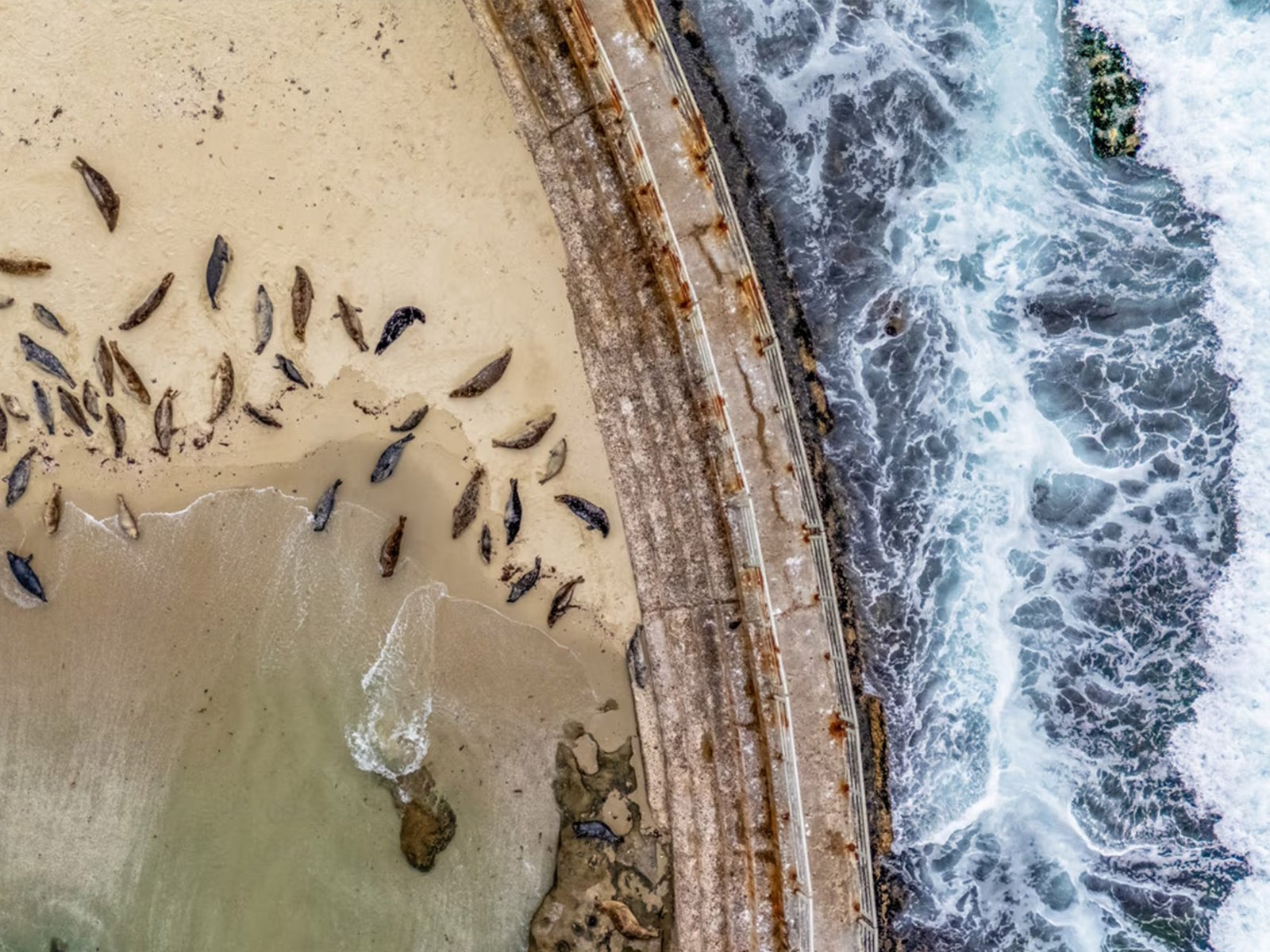 Hyper local stock media example