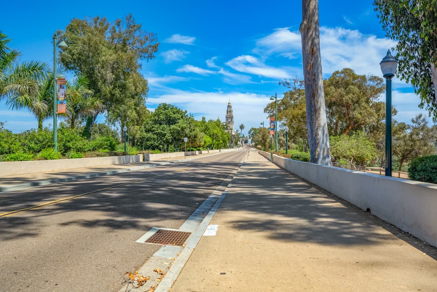 Balboa Park Aerial Drone Photo p23