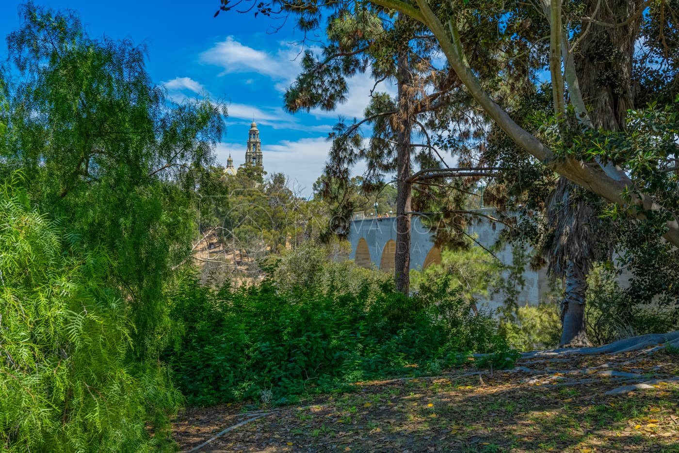 Balboa Park Aerial Drone Photo p30
