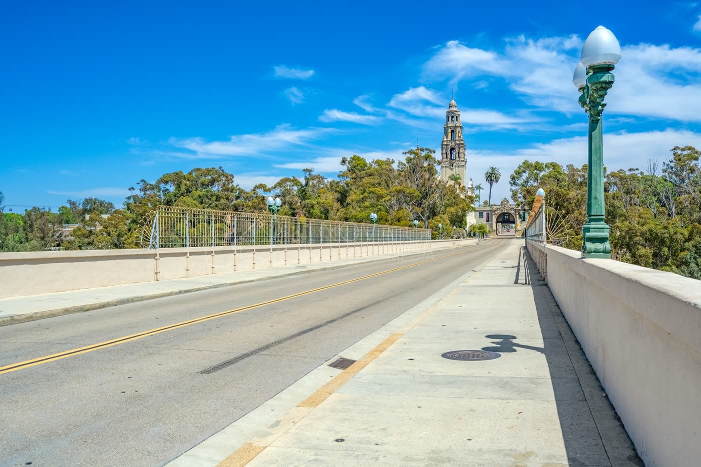 Balboa Park Aerial Drone Photo p31