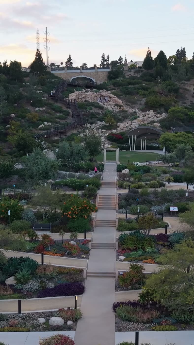 Civita Terraced Botanical Gardens and Winding Pathways at Twilight – Aerial View (Vertical)