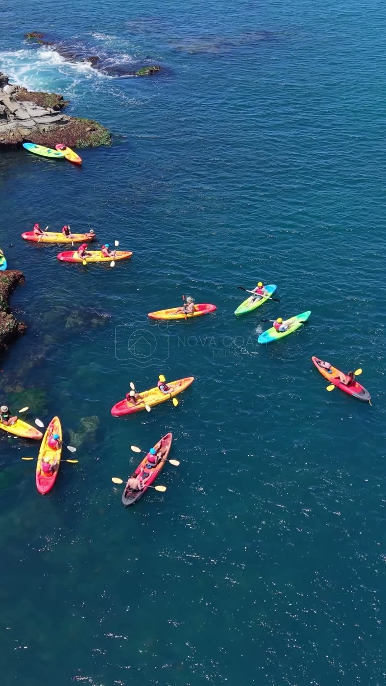 La Jolla Cove Aerial Drone Photo 3-1 (Vertical)