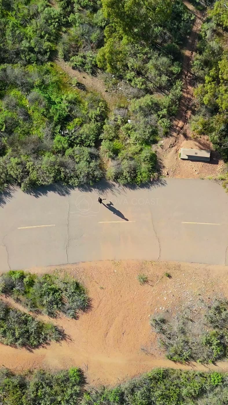 Lake Murray Aerial Drone Photo 5-1 (Vertical)