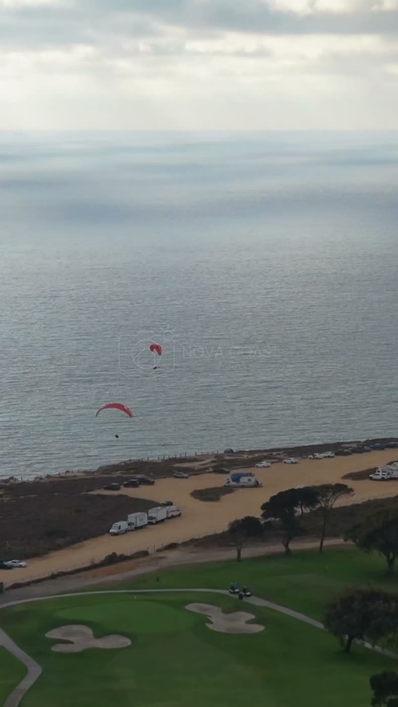 Paragliders Soaring Over the Pacific at Torrey Pines Gliderport – Aerial View (Vertical)