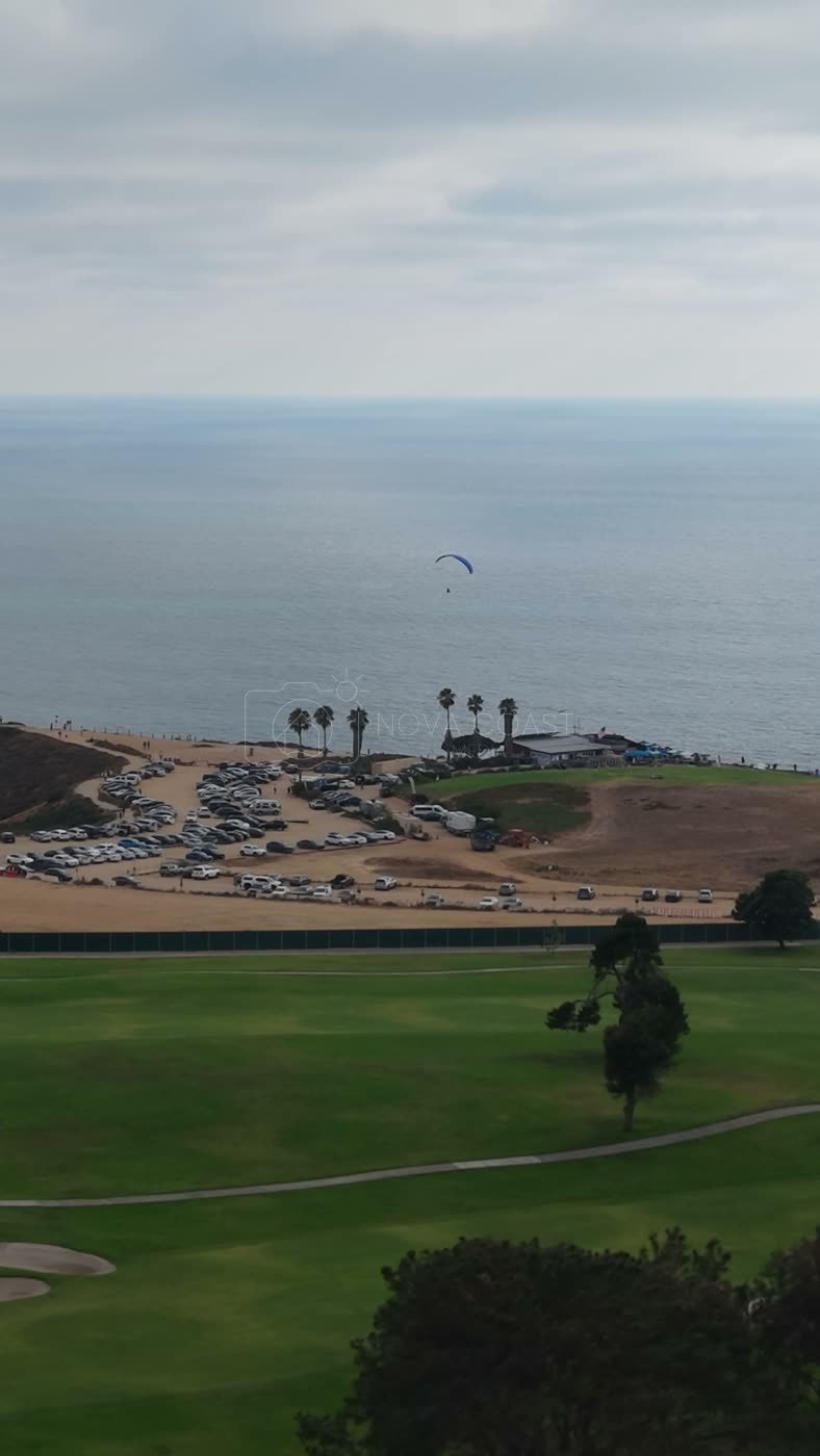 Torrey Pines Fairways with Paragliders Drifting Over the Sea – Wide Establishing Frame (Vertical)