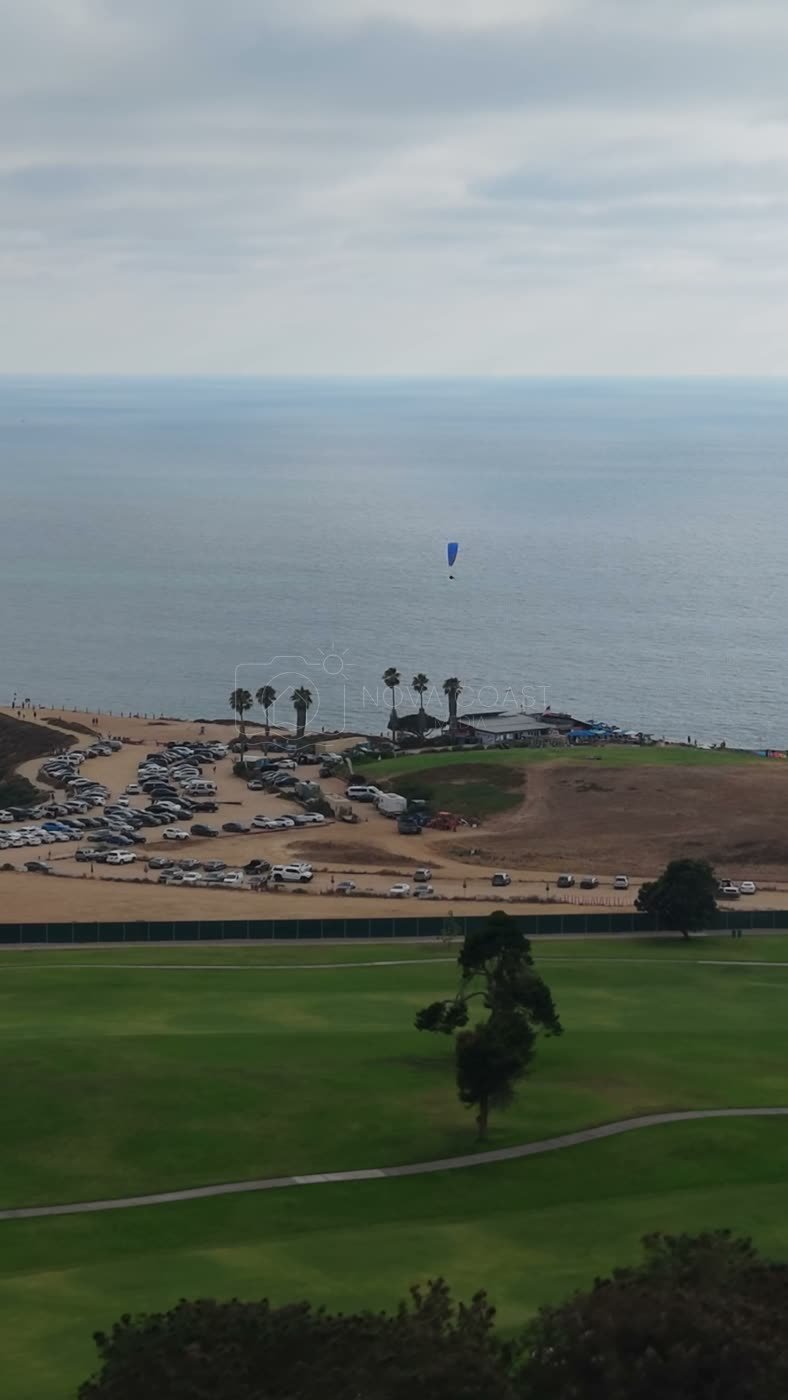 Torrey Pines Fairways with Paragliders Drifting Over the Sea – Overhead Detail (Vertical)