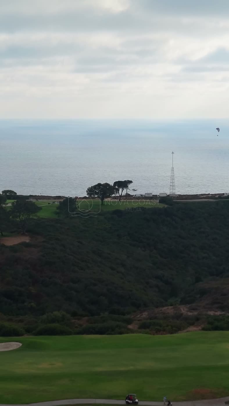 Distant Paragliders Over the Pacific Beyond Torrey Pines Fairways – Overhead Detail (Vertical)