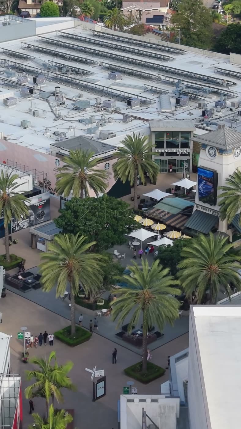 Palm-Lined Plaza and Storefronts at the Open-Air Westfield UTC – Wide Establishing Frame (Vertical)