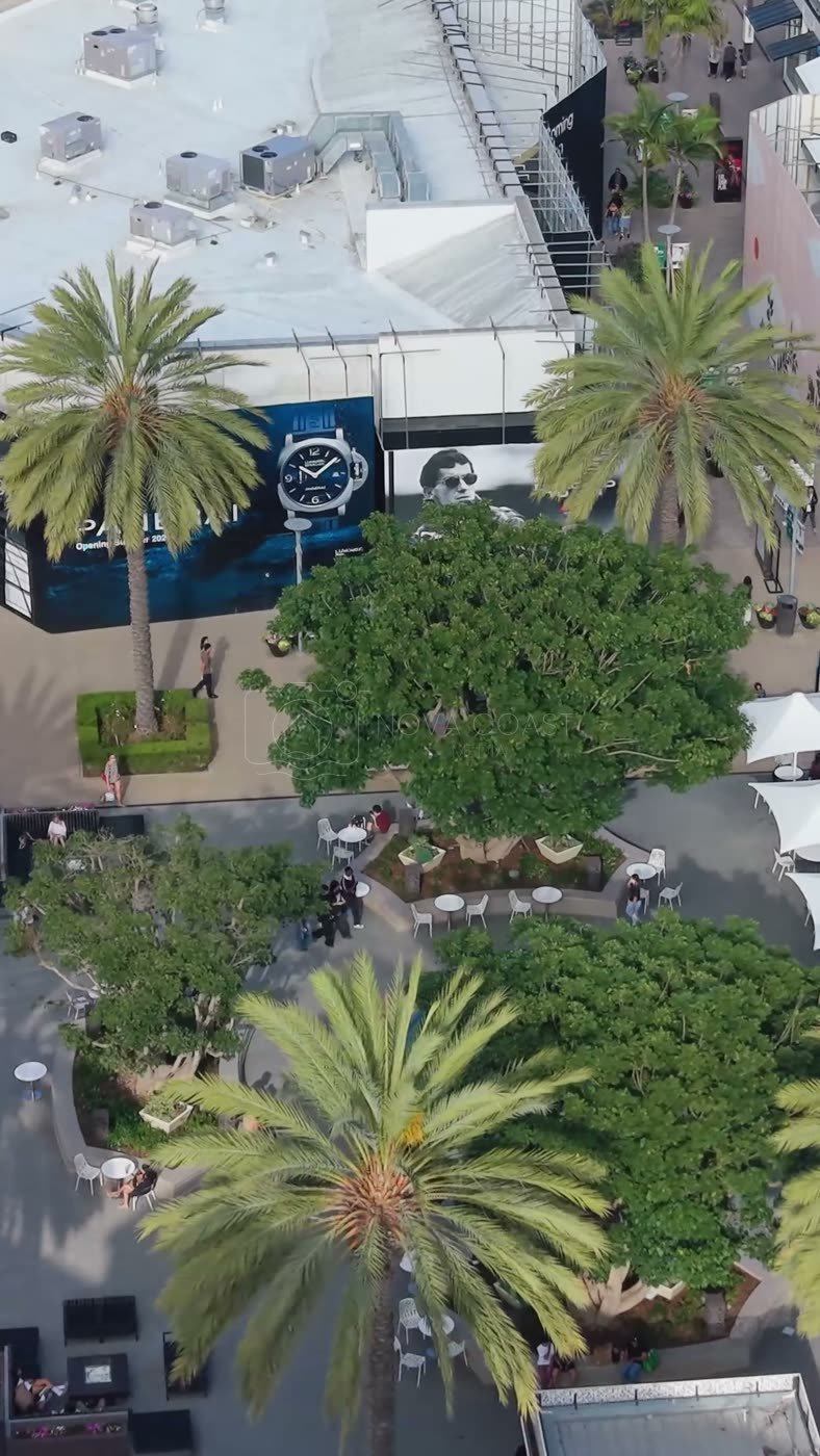 Palm-Lined Plaza and Storefronts at the Open-Air Westfield UTC – High-Angle Panorama (Vertical)