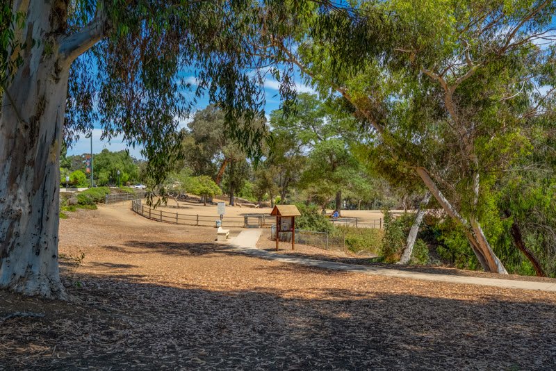 Balboa Park Aerial Drone Photo p1
