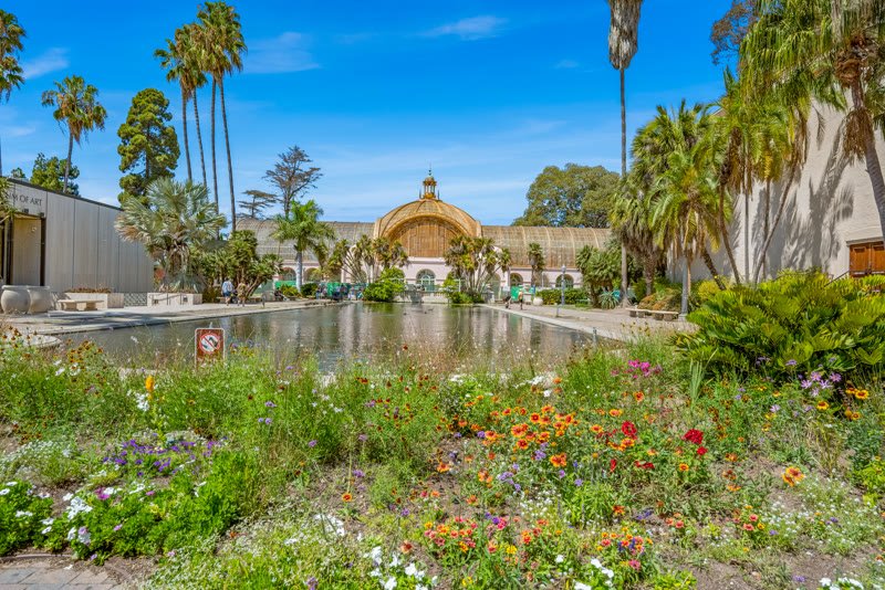 Balboa Park Aerial Drone Photo p18