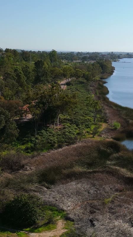 Lake Murray Aerial Drone View 4 (Vertical)