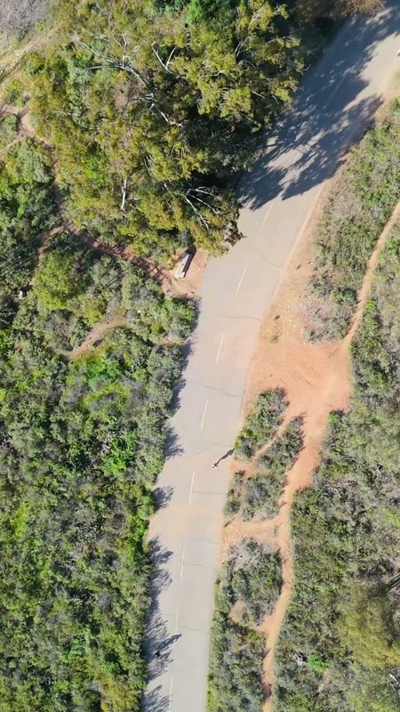 Lake Murray Aerial Drone Photo 5-2 (Vertical)