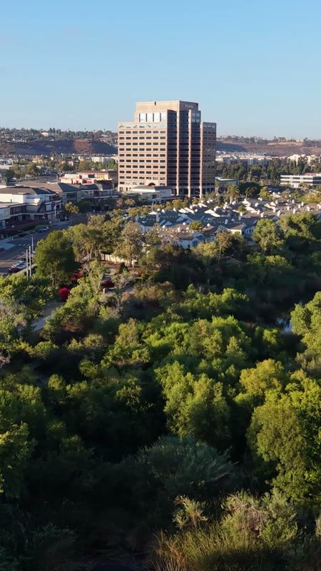 Lush San Diego River Bend Below the Mission Valley Skyline – Wide Establishing Frame (Vertical)