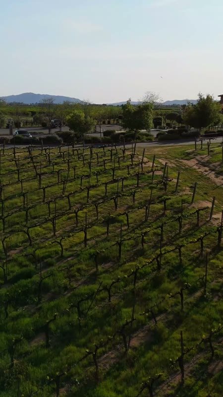 Temecula Aerial Drone View 11 (Vertical)