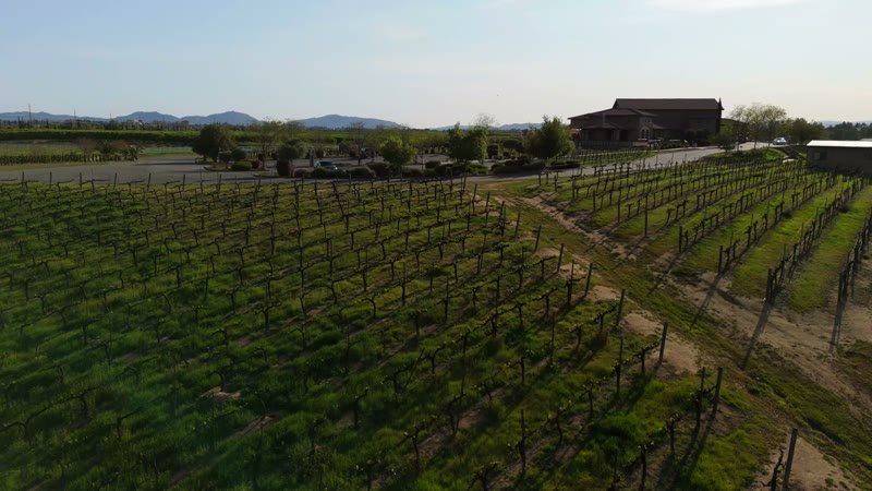 Temecula Aerial Drone View 11