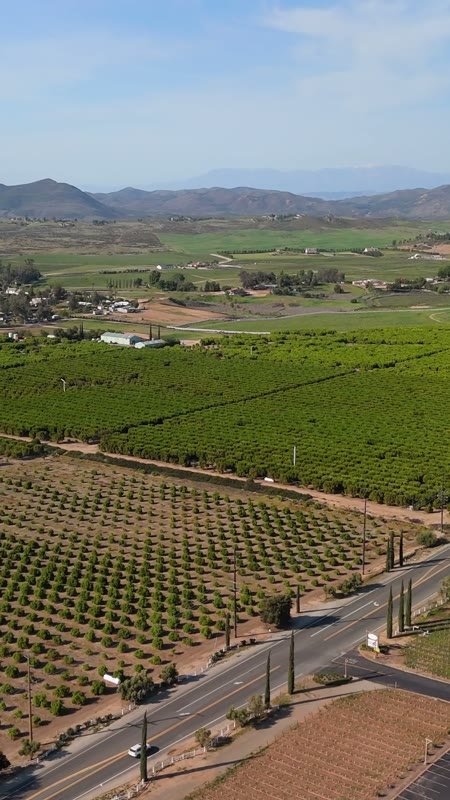 Temecula Aerial Drone View 31 (Vertical)