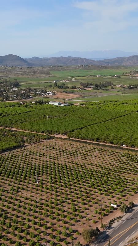 Temecula Aerial Drone View 32 (Vertical)