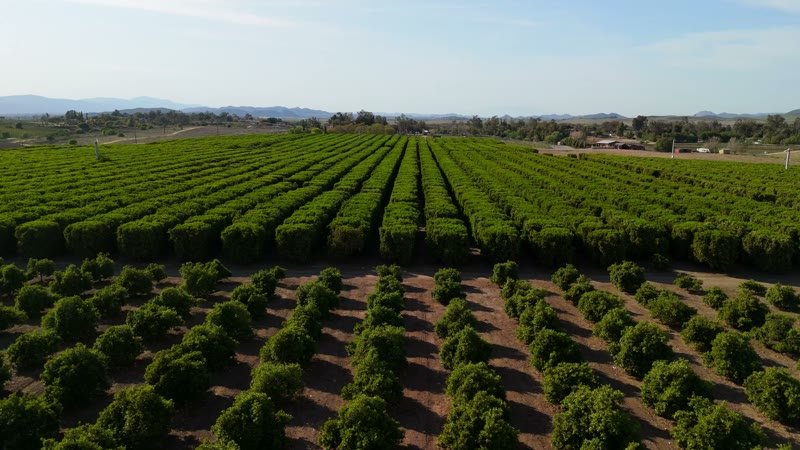 Temecula Aerial Drone Photo 18-3