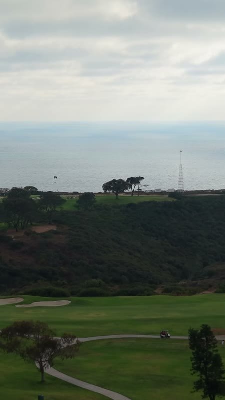 Distant Paragliders Over the Pacific Beyond Torrey Pines Fairways (Vertical)