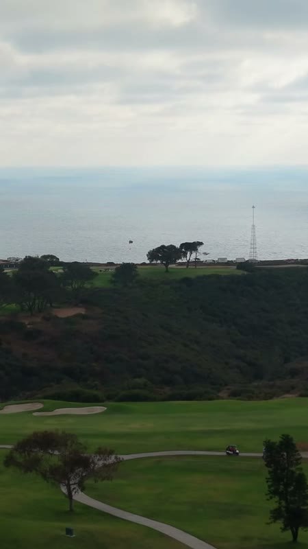Distant Paragliders Over the Pacific Beyond Torrey Pines Fairways – Aerial View (Vertical)