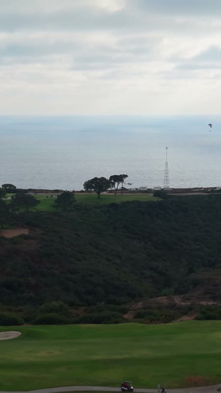 Distant Paragliders Over the Pacific Beyond Torrey Pines Fairways - Overhead Detail (Vertical)