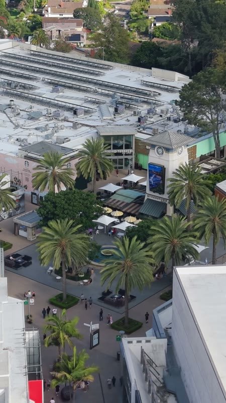 Palm-Lined Plaza and Storefronts at the Open-Air Westfield UTC (Vertical)