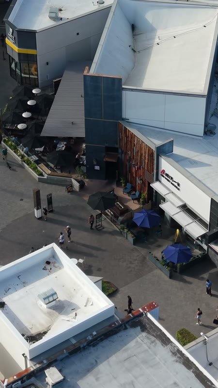 Marugame Udon and the Open-Air Dining Promenade at UTC (Vertical)