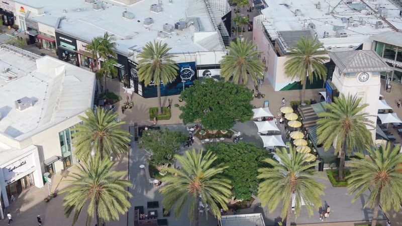 Palm-Lined Plaza and Storefronts at the Open-Air Westfield UTC – High-Angle Panorama