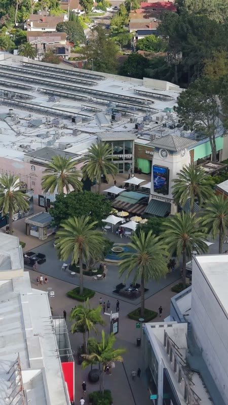 Palm-Lined Plaza and Storefronts at the Open-Air Westfield UTC – Aerial View (Vertical)