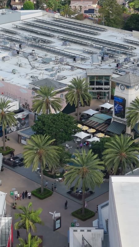 Palm-Lined Plaza and Storefronts at the Open-Air Westfield UTC – Wide Establishing Frame (Vertical)