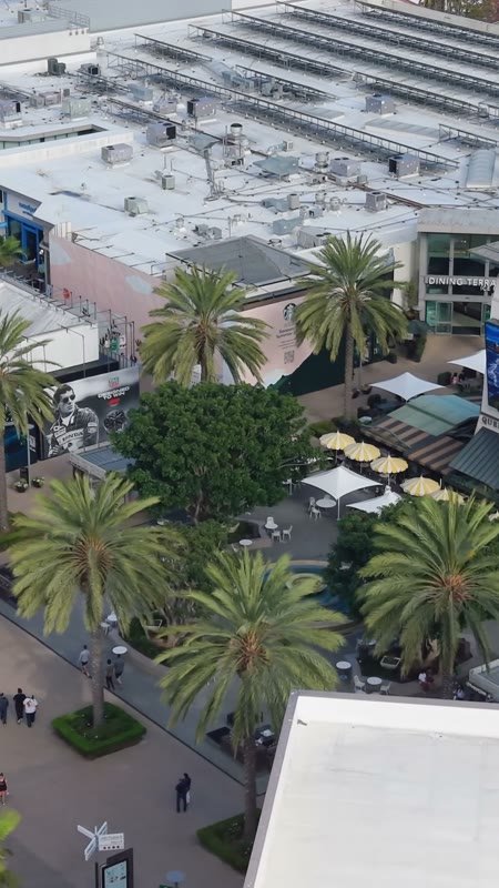 Palm-Lined Plaza and Storefronts at the Open-Air Westfield UTC – Overhead Detail (Vertical)